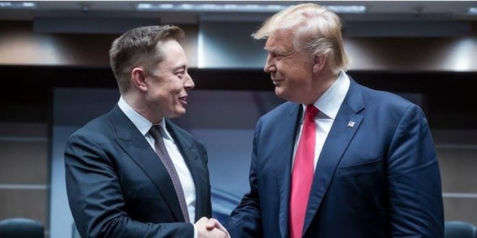 Elon Musk and Donald Trump