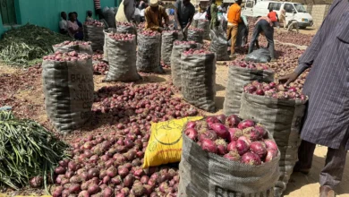 Nigerian Onion farmers