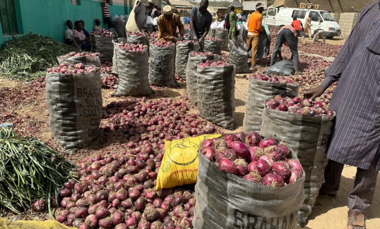 Nigerian Onion farmers