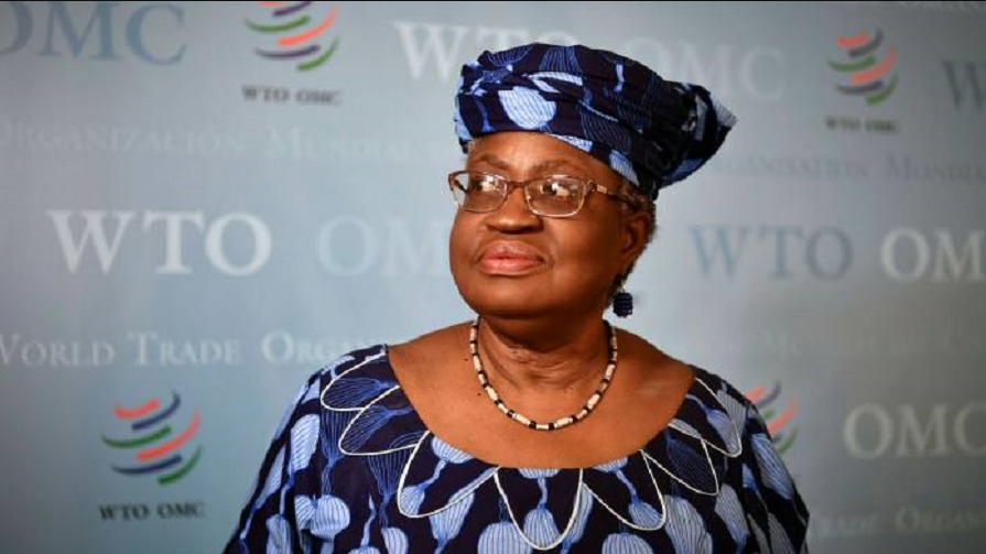 Okonjo-Iweala Set for Second Term as Solo Candidate in WTO Leadership Race
